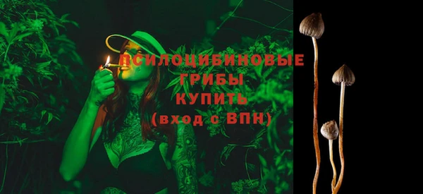 дживик Алексин