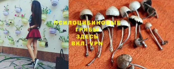 стаф Алексеевка