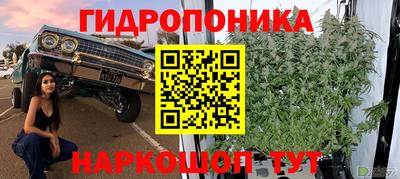 синтетический гашиш Лесосибирск