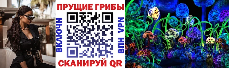 где найти   Дзержинский  Псилоцибиновые грибы ЛСД 