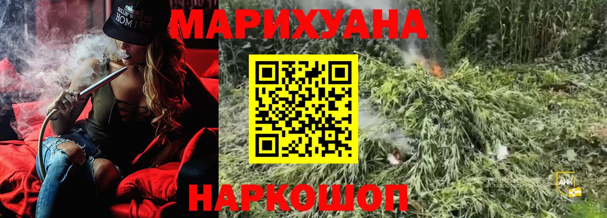 Канабис OG Kush Дзержинский